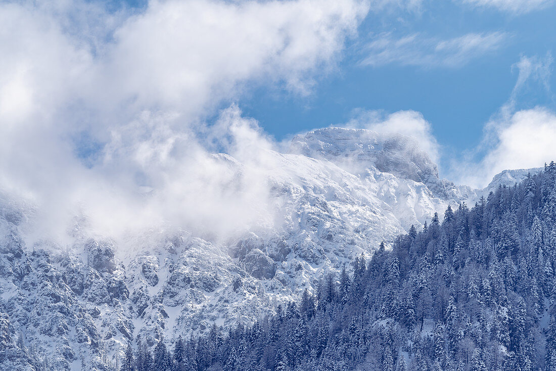 Der Gipfel der winterlichen Hohen Kisten in Wolken, Eschenlohe, Bayern, Deutschland