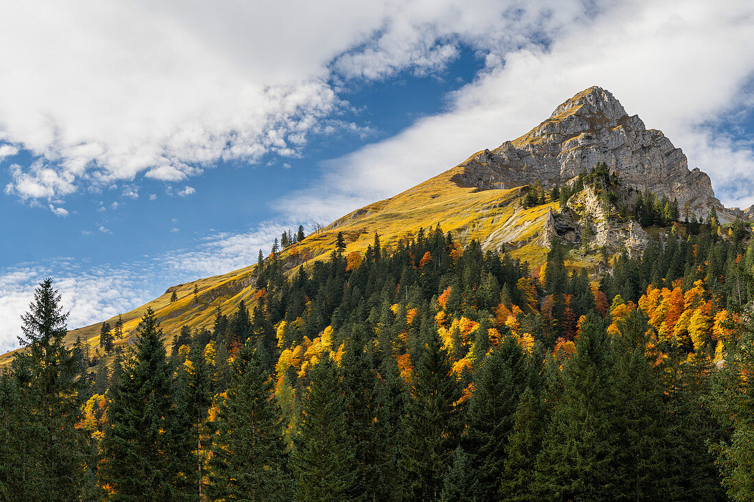 Blick auf die Gamsjochgruppe im Karwendel, Großer Ahornboden, Karwendel, Tirol, Österreich
