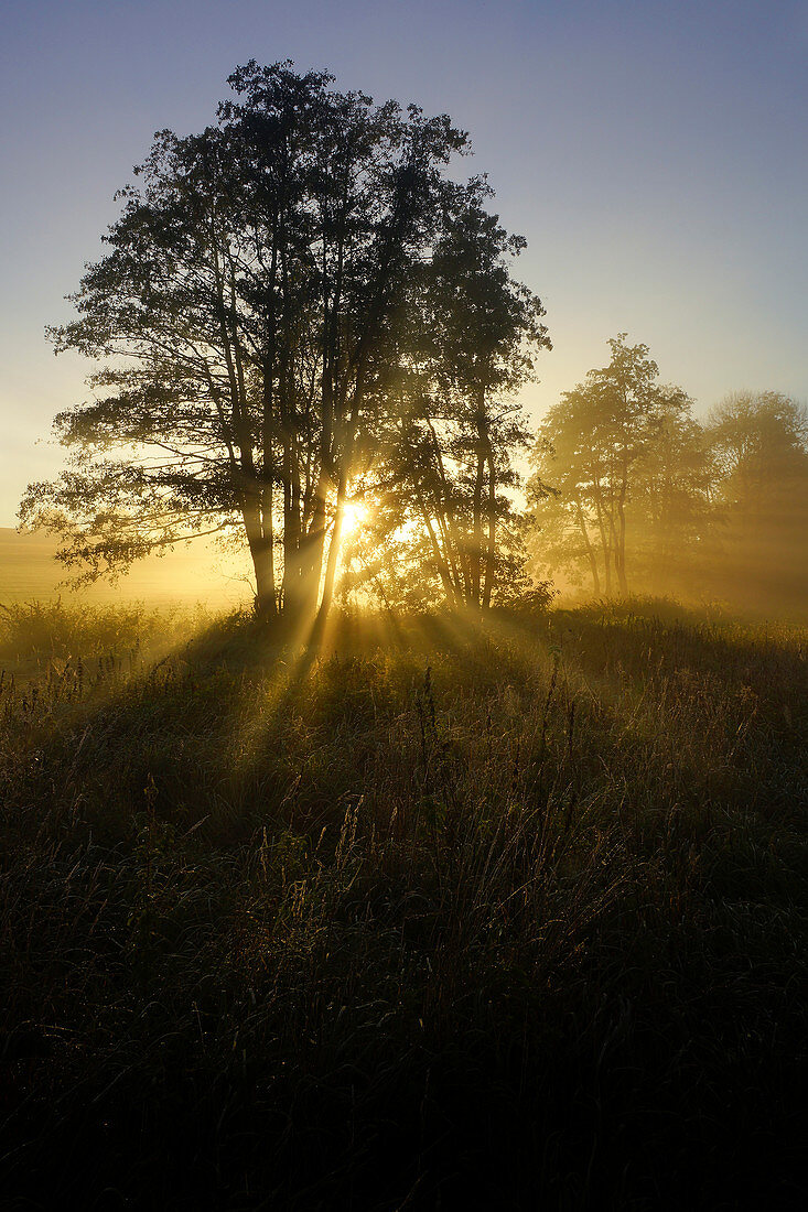 Sonniger Herbstmorgen südlich von Regensburg, Bayern, Deutschland