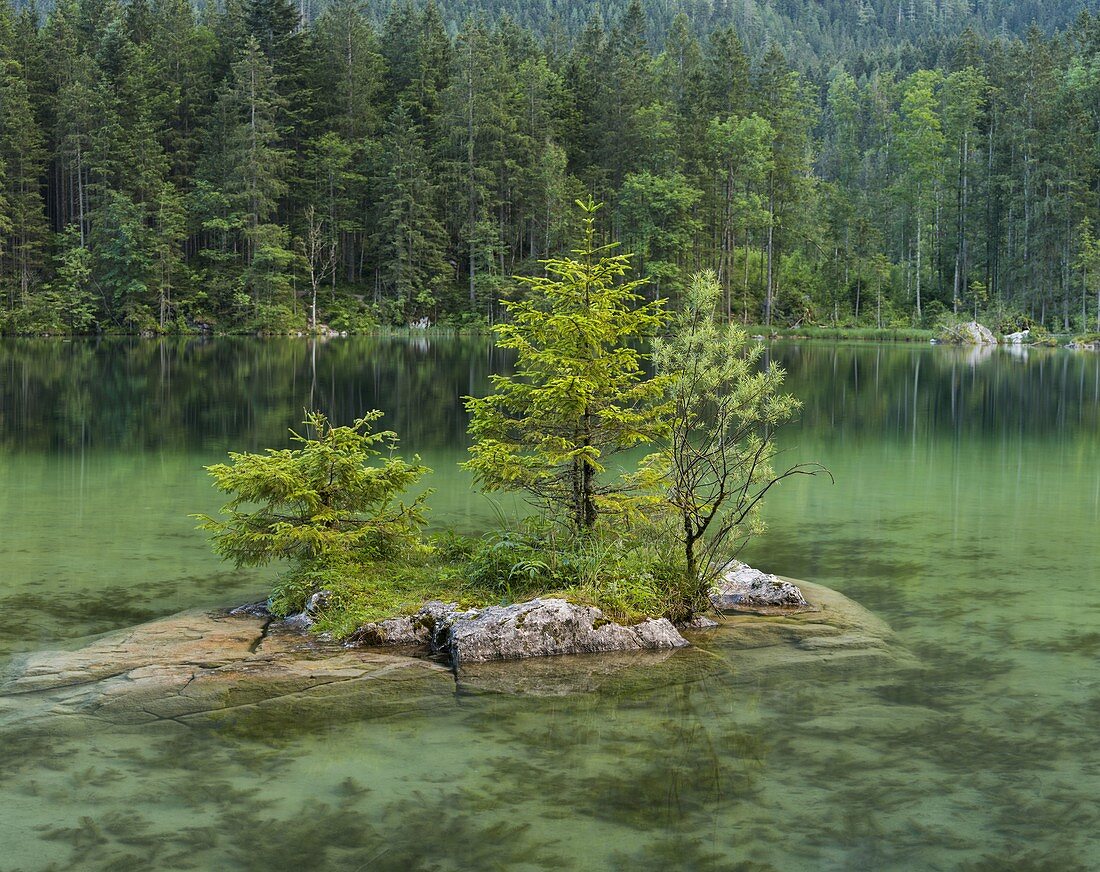 Kleine Insel im Hintersee, Berchtesgadener Land, Bayern, Deutschland