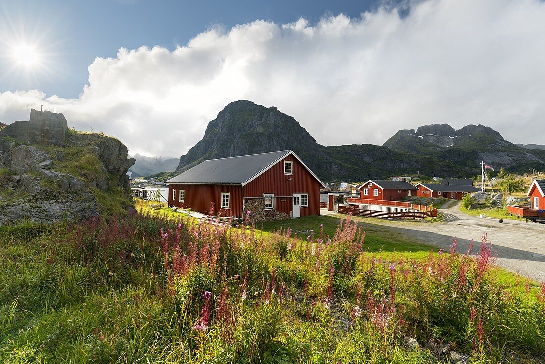 Häuser in Sorvagen, Moskenesoya, Lofoten, Nordland, Norwegen