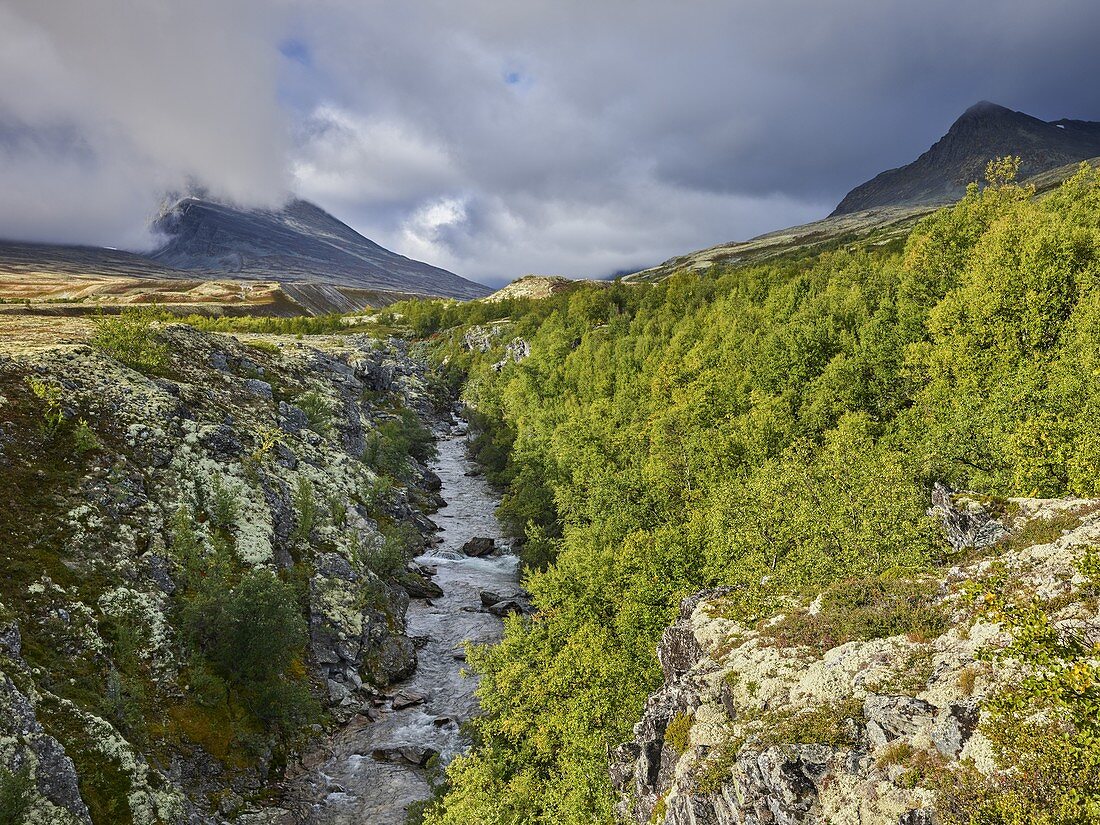 Döralen, Fluss Atna, Rondane Nationalpark, Oppland, Norwegen