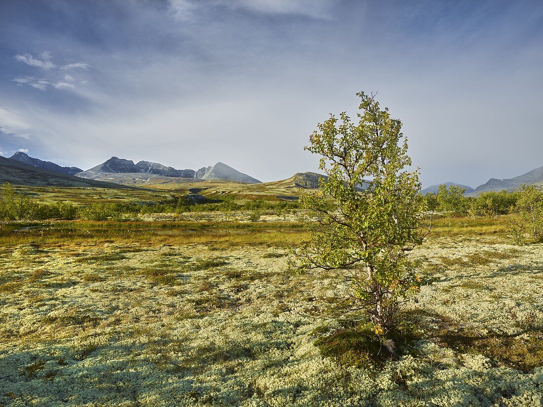 Högronden Massiv, Döralen, Rondane Nationalpark, Oppland, Norwegen