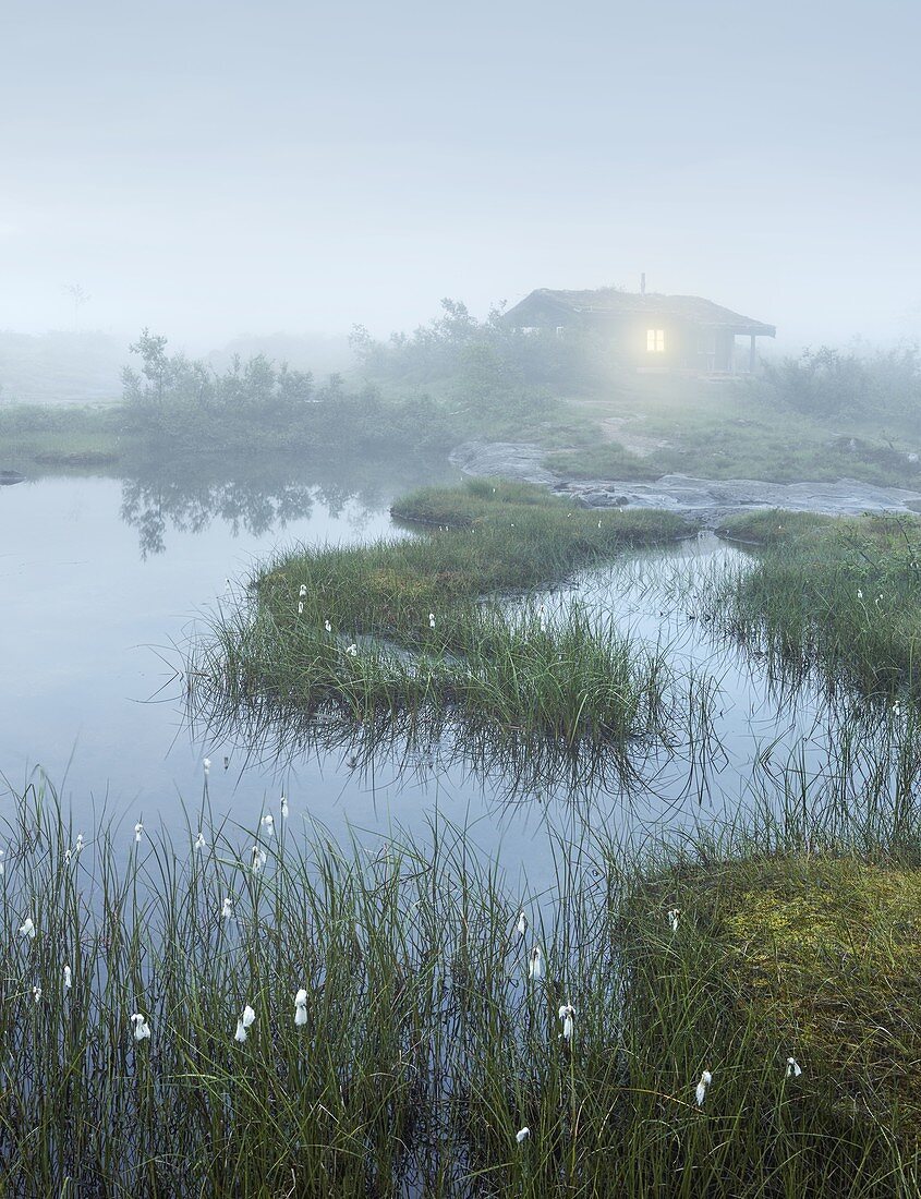 Hütte im Nebel, Gaularfjellet, Vestland, Norwegen