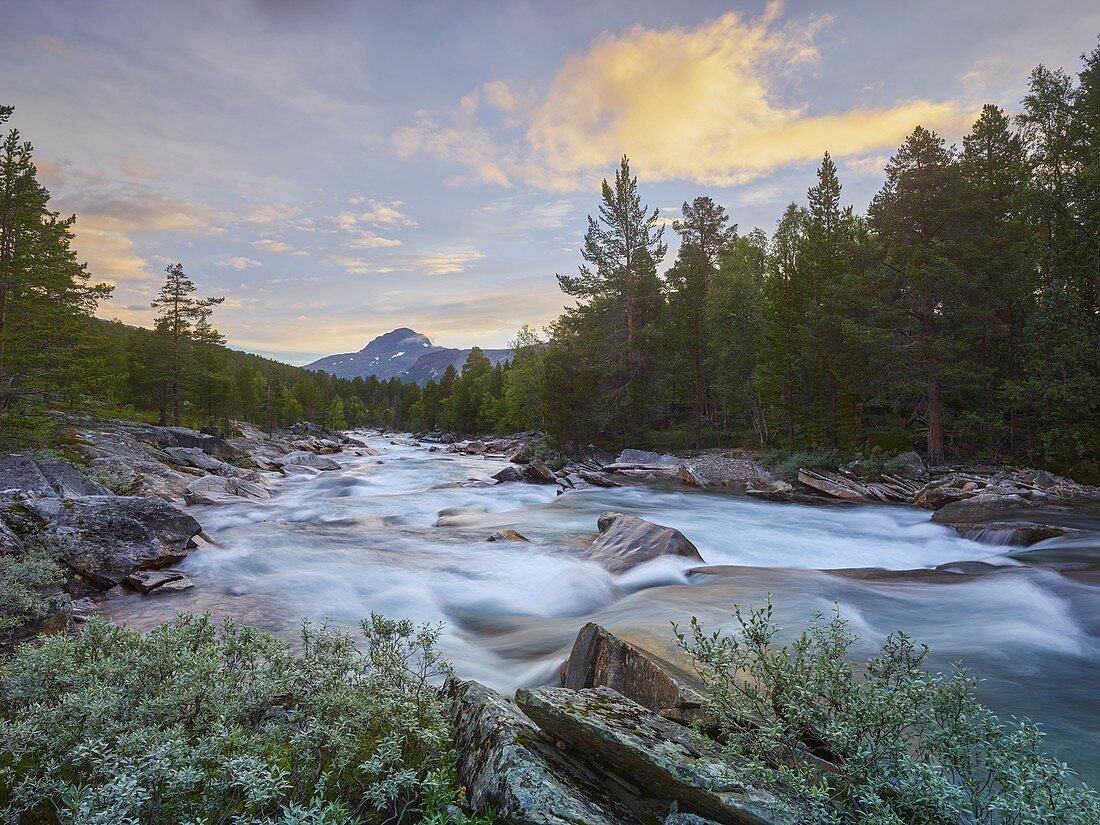 Fluss Saltelva, Saltfjellet-Svartisen, Nordland, Norwegen