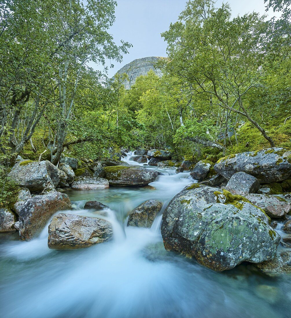 Fluss Renndola, Innerdalen, More og Romsdal, Norwegen