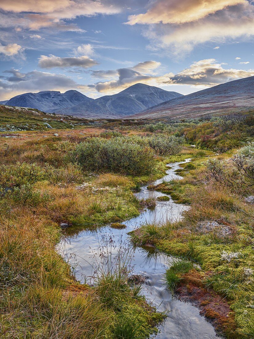 Rondslottet, Storronden, Rondane Nationalpark, Oppland, Norwegen