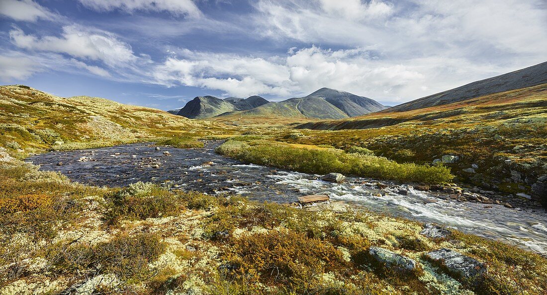 Fluss Storula, Rondslottet, Storronden, Rondane Nationalpark, Oppland, Norwegen