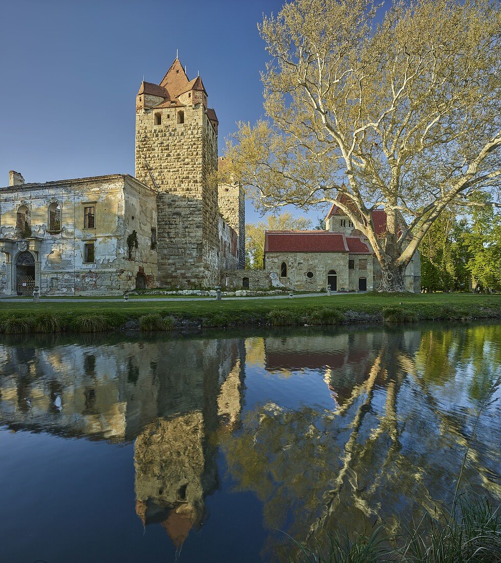 Burgruine Pottendorf, Niederösterreich, Österreich