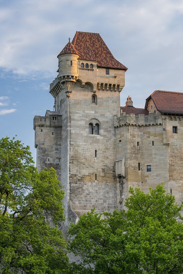 Burg Liechtenstein, Mödling, Niederösterreich, Österreich