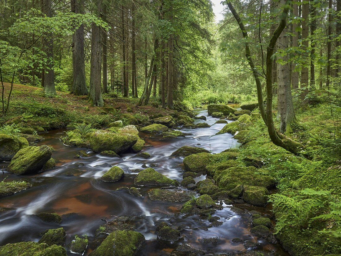 Höllfall, Waldviertel, Lower Austria, Austria