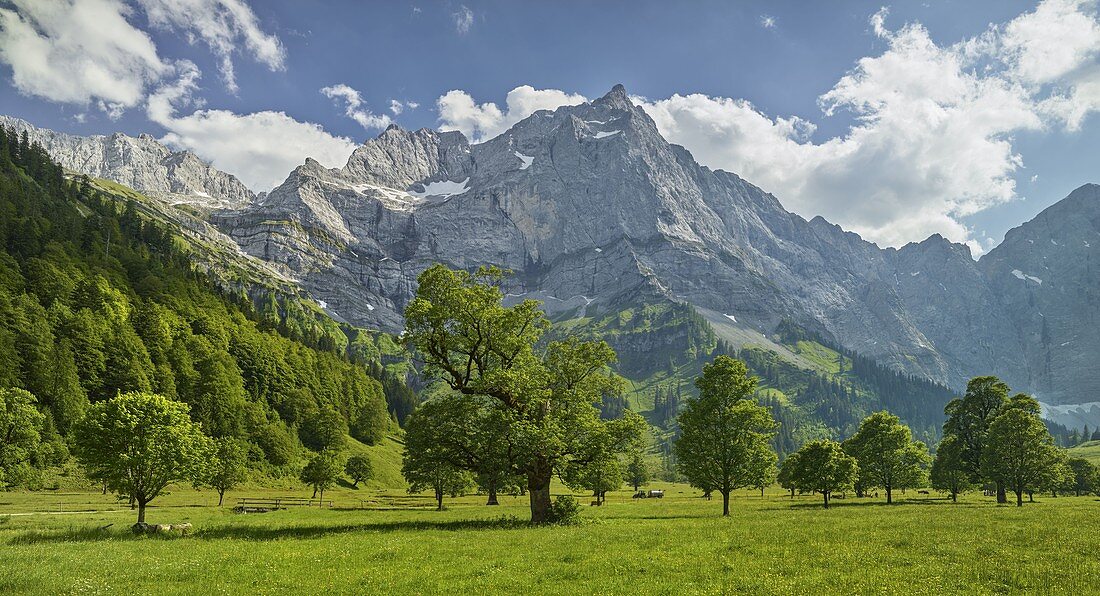 Großer Ahornboden, Karwendel range, Tyrol, Austria