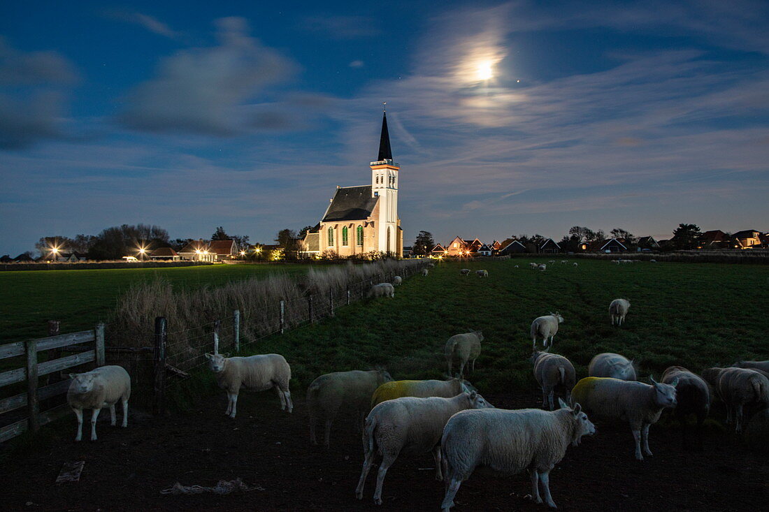 Mondaufgang über Schafen auf Koppel mit beleuchteter Kirche Kerk Den Hoorn dahinter, Den Hoorn, Texel, Westfriesische Inseln, Friesland, Niederlande, Europa