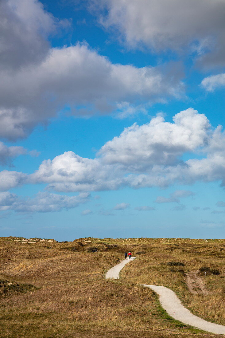 Zwei Personen auf einem Wander- und Radweg, der vom Leuchtturm von Ameland zum Strand führt, nahe Hollum, Ameland, Westfriesische Inseln, Friesland, Niederlande, Europa