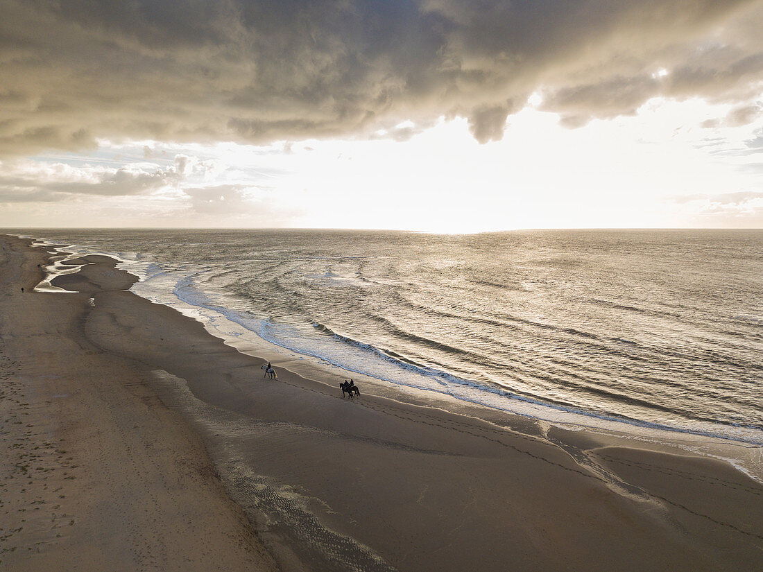 Luftaufnahme von drei Menschen, die auf Pferden am Strand in der Nähe der Westerduinen-Dünen entlang der Nordseeküste reiten, nahe Den Hoorn, Texel, Westfriesische Inseln, Friesland, Niederlande, Europa,