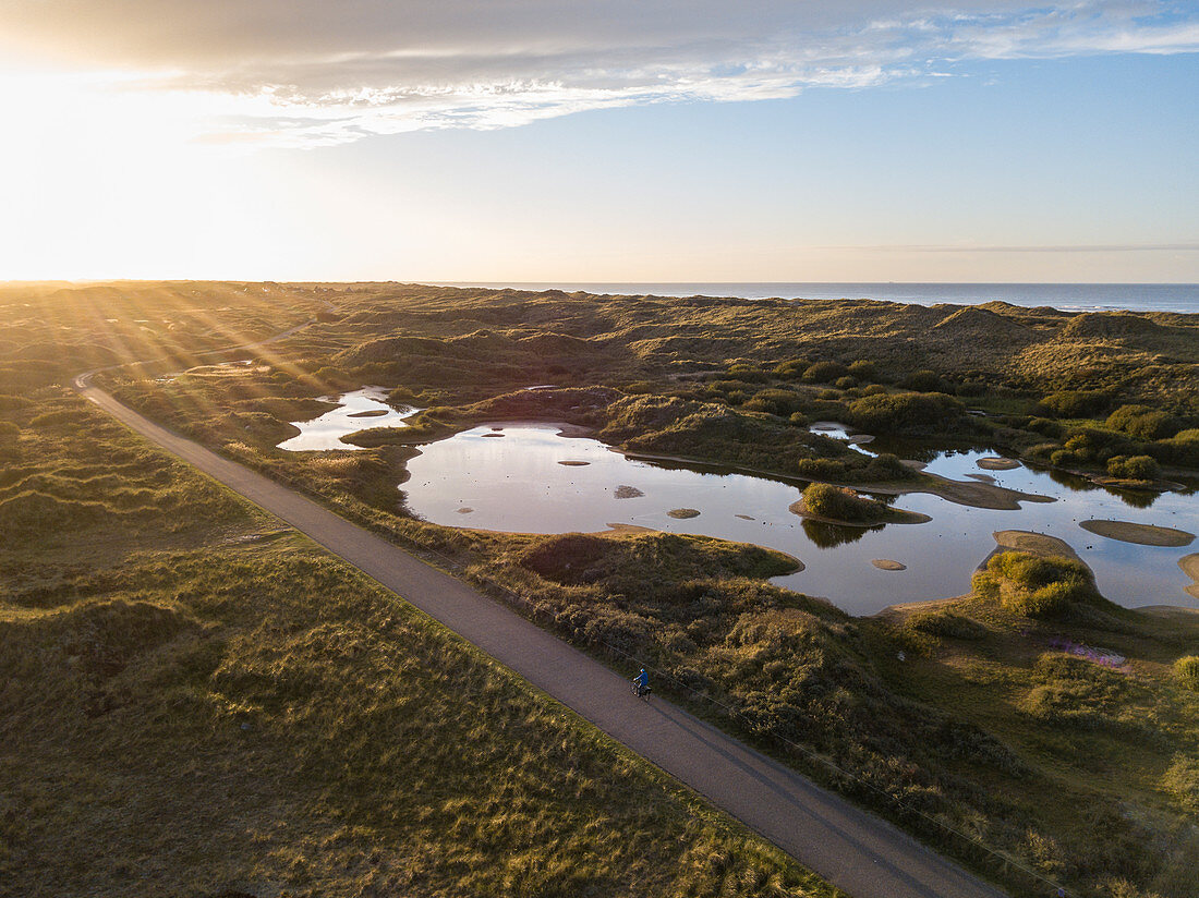 Aerial view of man on bicycle cycling on lakes and dunes along the North Sea coast at sunset, Midsland aan Zee, Terschelling, West Frisian Islands, Friesland, Netherlands, Europe