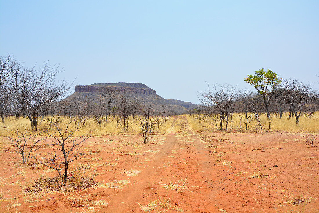 Angola; im westlichen Teil der Provinz Cunene; Berg und für den Süden Angolas typische Grassavanne mit Akazienbäumen