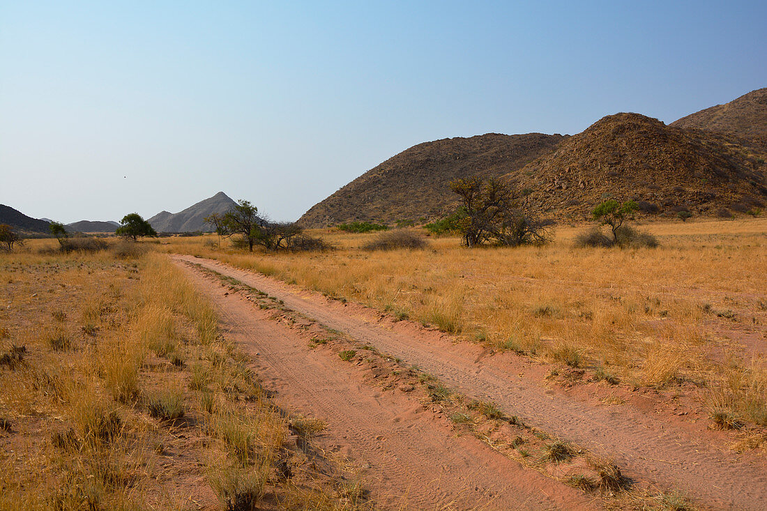 Angola; im südlichen Teil der Provinz Namibe; Iona Nationalpark; Ende der Trockenzeit; gebirgige Graslandschaft mit niederen Akazienbäumen und anderen Büschen;
