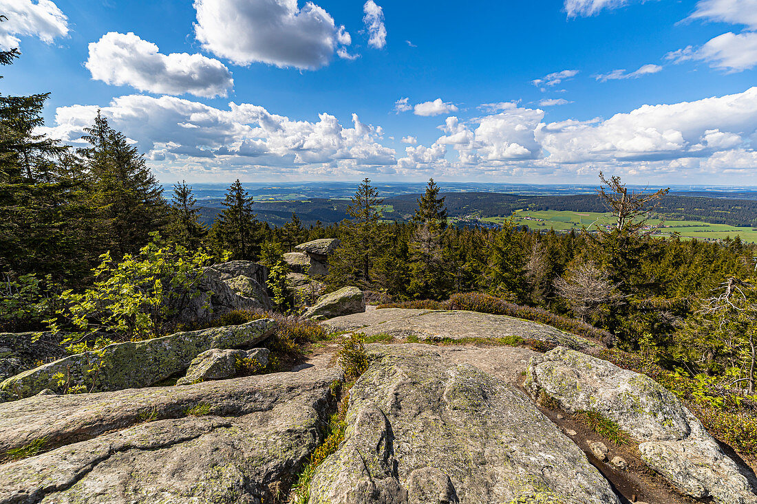 View from Ochsenkopf in the Fichtelgebirge to the woods, Upper Franconia, Bavaria, Germany