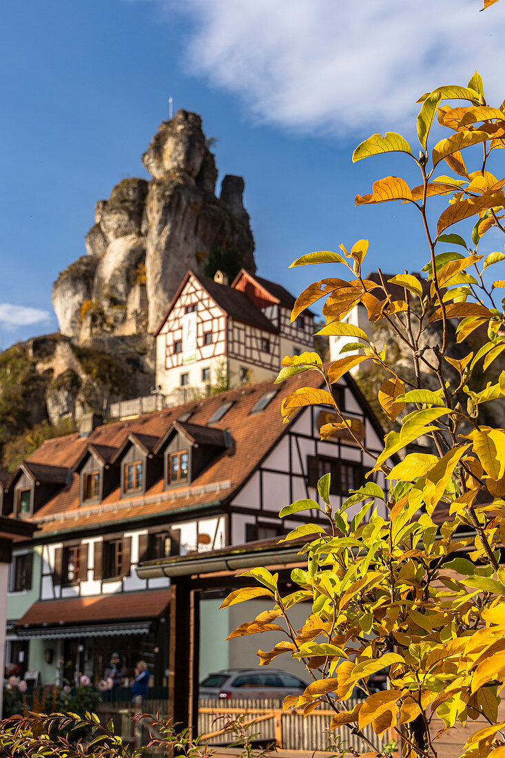 View of houses in front of rocks in Tüchersfeld with autumn leaves in the foreground, Upper Franconia, Bavaria, Germany