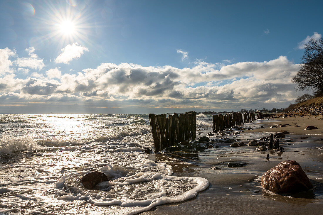 Groynes in the sunlight on the beach at Kellenhusen Baltic Sea, Ostholstein, Schleswig-Holstein, Germany