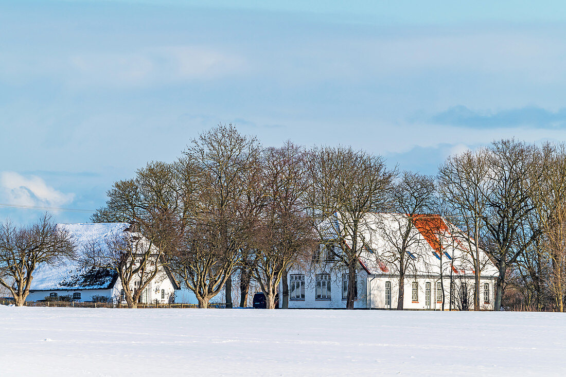View of the old school in Siggeneben in the snow, Grube, Ostholstein, Schleswig-Holstein, Germany