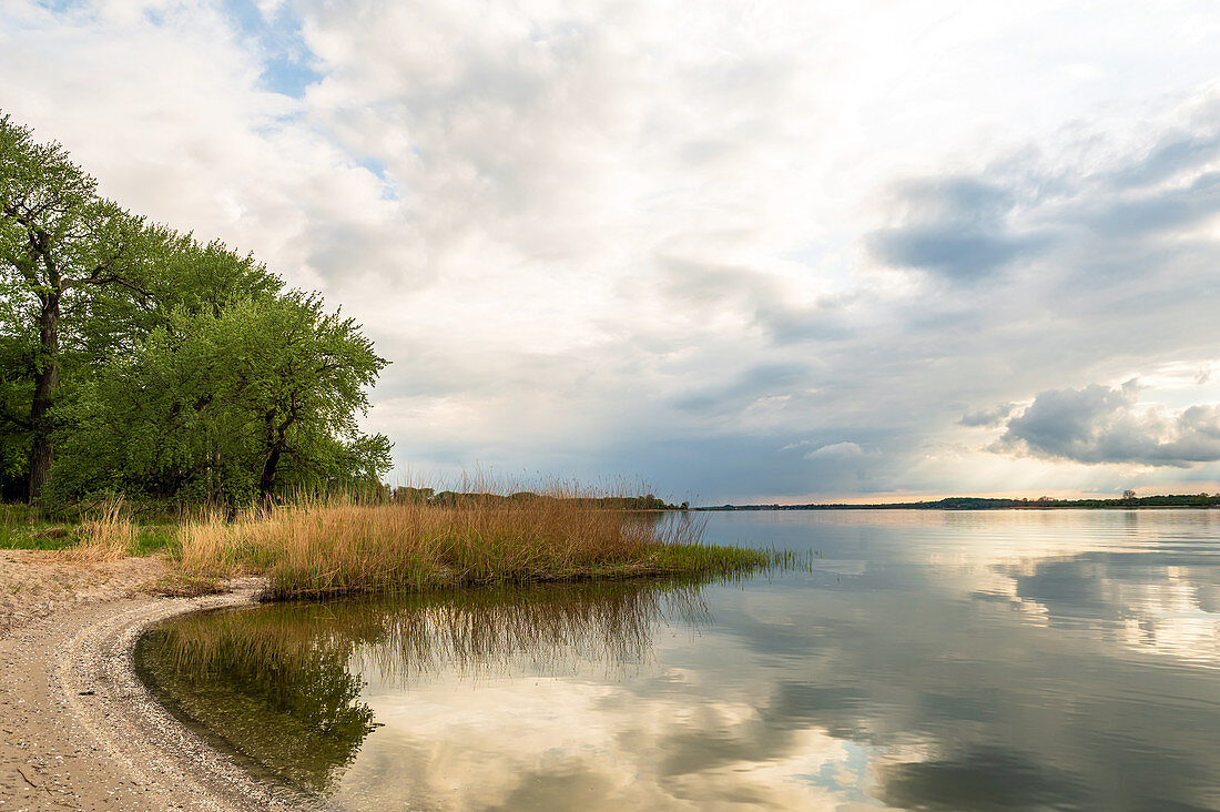 Die Schlei bei Gut Bienebek, Schlei, Schwansen, Thumby, Schleswig-Holstein, Deutschland