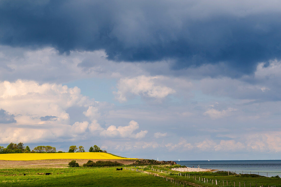 Blick auf die Steilküste von Schönhagen, Schwansen, Brodersby, Schleswig-Holstein, Deutschland