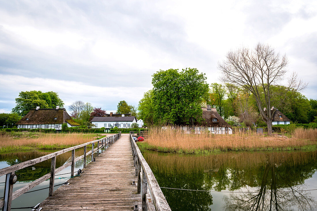 Reetdachhäuser in Sieseby, Schlei, Schwansen, Thumby, Schleswig-Holstein, Deutschland