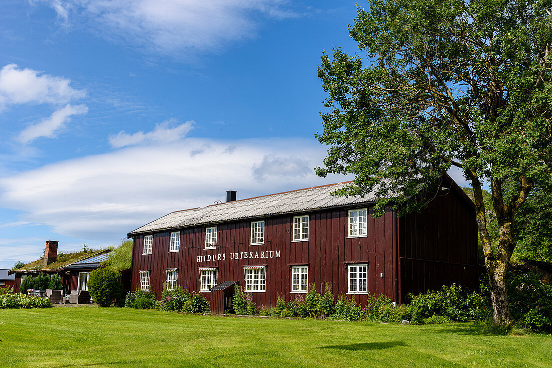 Cafe Restaurant Hildurs Urterarium, Bronnoysund, Norway