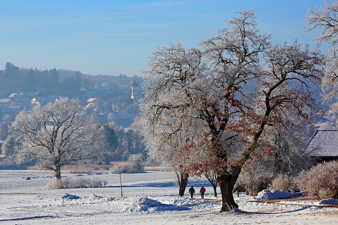 Winter day in Andechs Monastery, 5-Seen-Land, Upper Bavaria, Bavaria, Germany