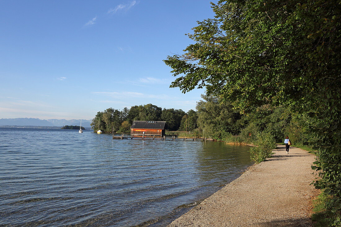 West bank of Lake Starnberg, near Niederpöcking, 5-Seen-Land, Upper Bavaria, Bavaria, Germany