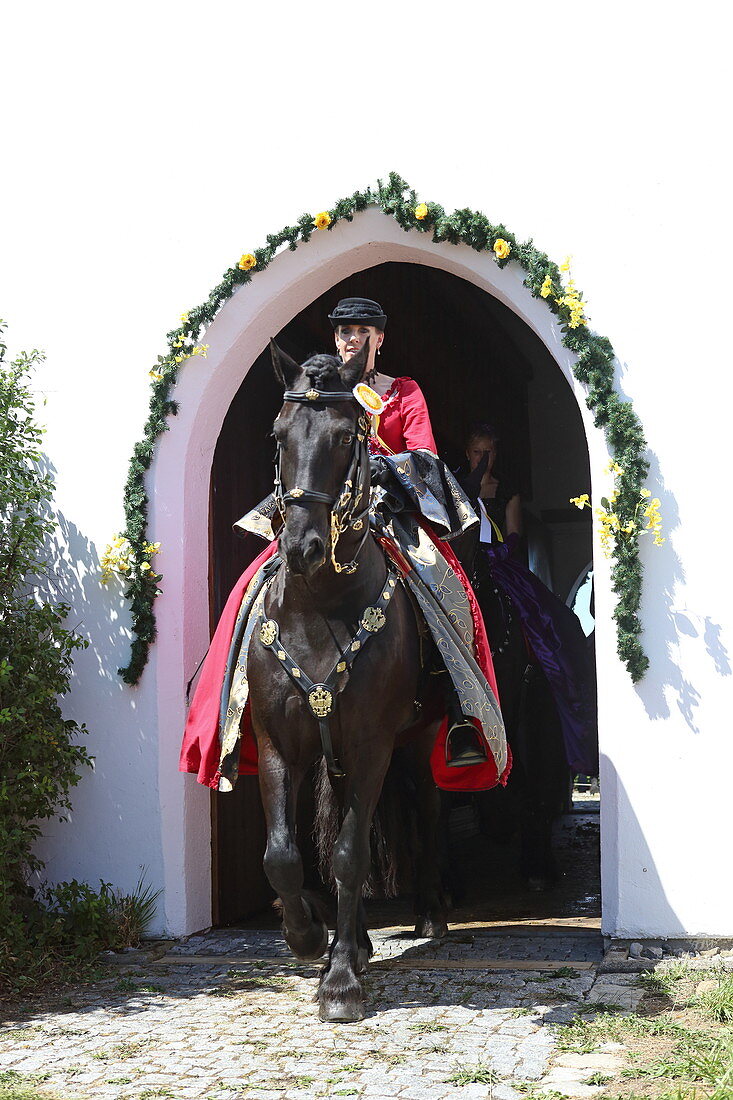 More than 300 horses take part in the Willibaldsritt in Jesenwang. The ride through the church is unique in Europe, Jesenwang, Upper Bavaria, Bavaria, Germany