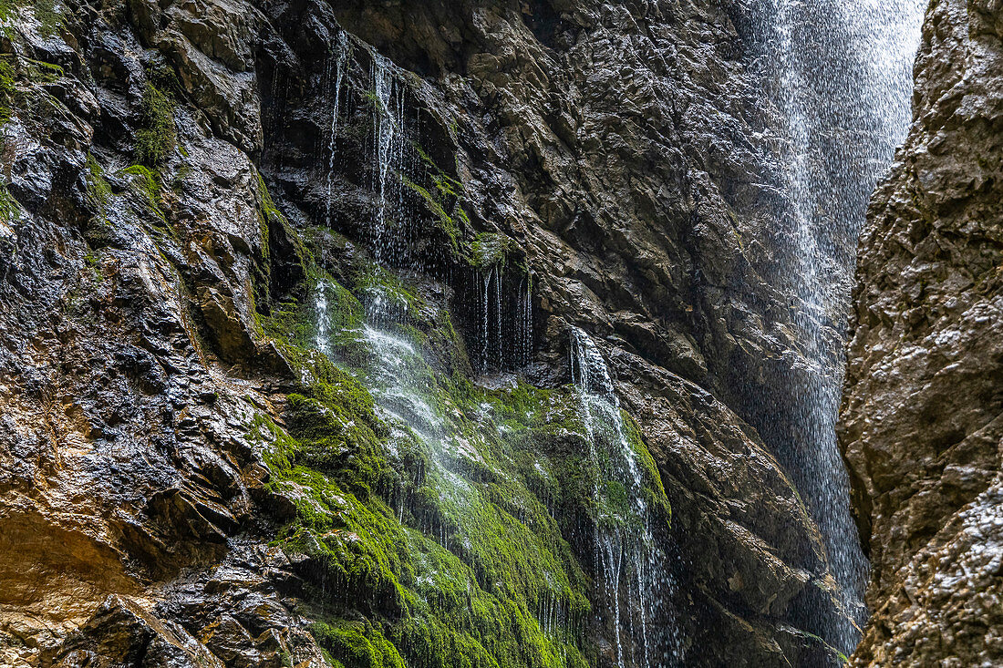 Wasserfall über die moosbewachsene Felswand in der Höllentalklamm, Grainau, Oberbayern, Deutschland