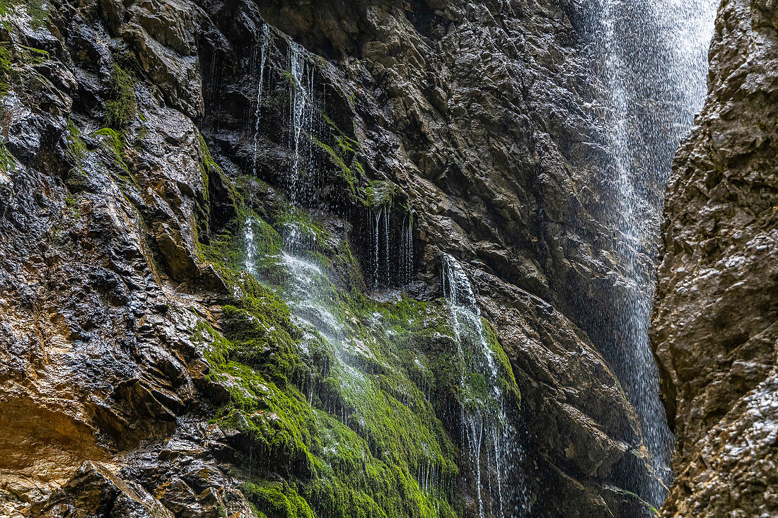 Waterfall over the moss-covered rock face in the Höllentalklamm, Grainau, Upper Bavaria, Germany