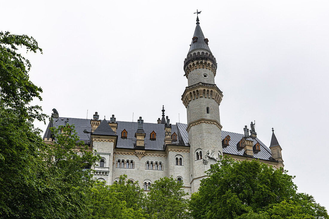 View of Neuschwanstein Castle amid the deciduous trees, Schwangau, Upper Bavaria, Germany