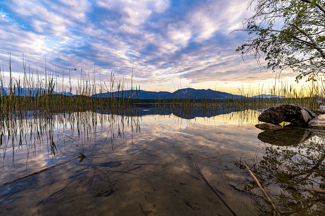 View over the water to the mountains at sunset at the moor areas at the Staffelsee, Murnau, Upper Bavaria, Germany