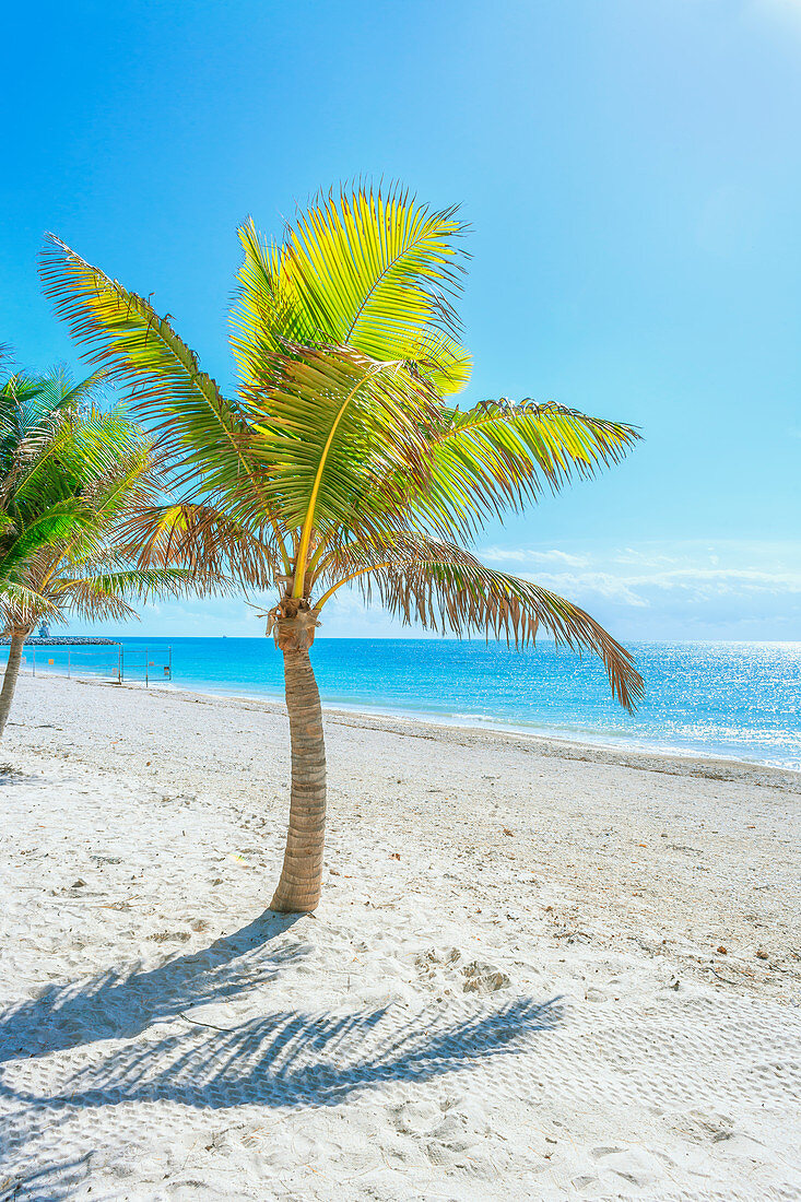 Smathers Beach, Key West, Florida, USA