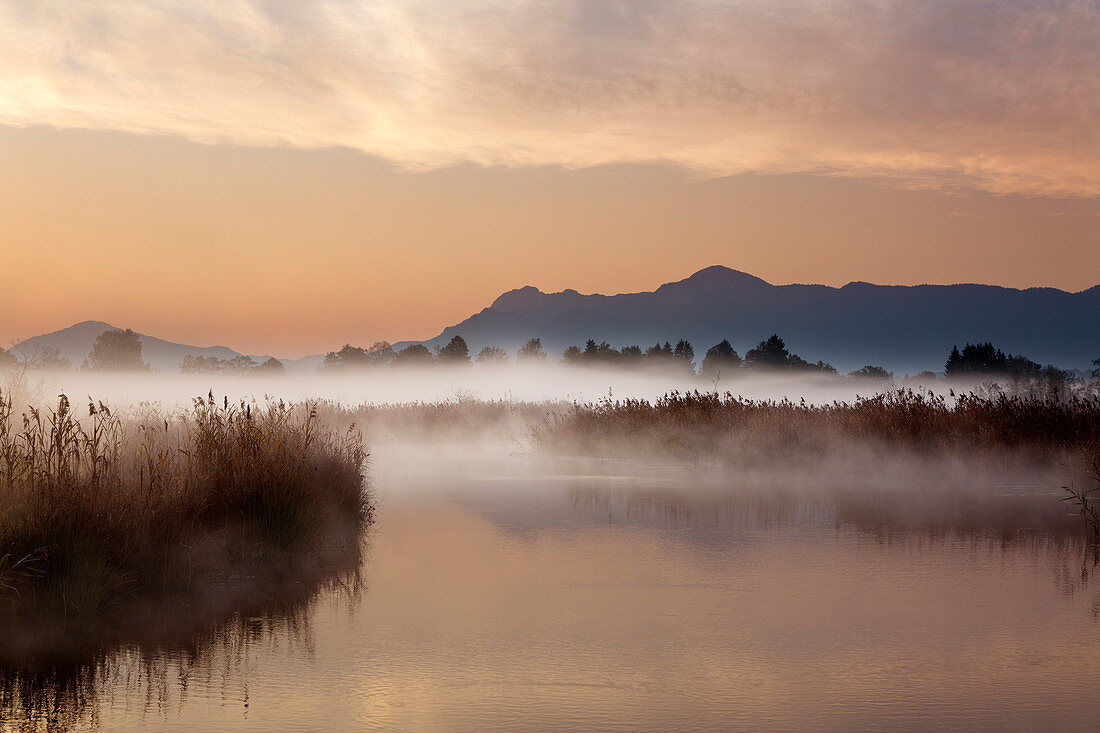 Morning mood with fog, view over the Ach bei Uffing am Staffelsee to the mountain range of the Alps, Bavaria, Germany