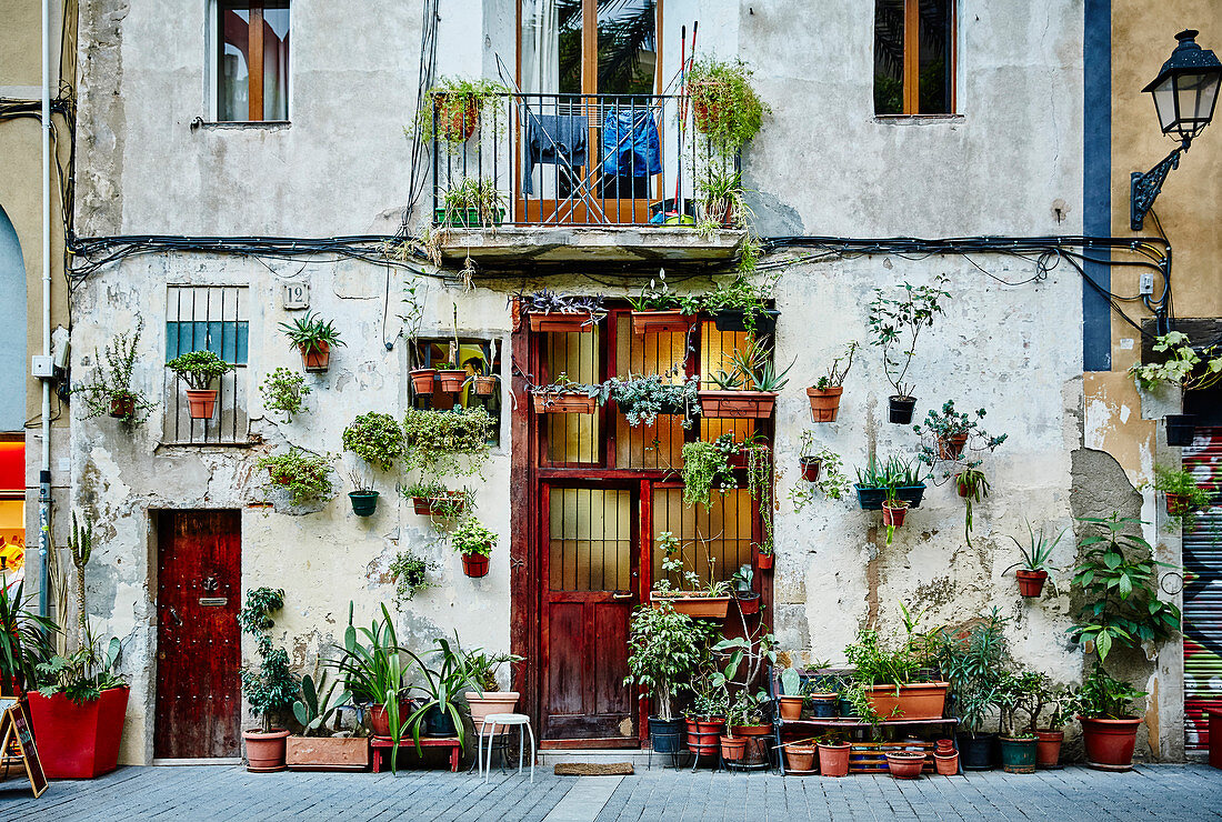 Fassade eines Terrassenhauses mit Pflanzen in einer Seitenstraße des Stadtteils Borne in Barcelona, Spanien