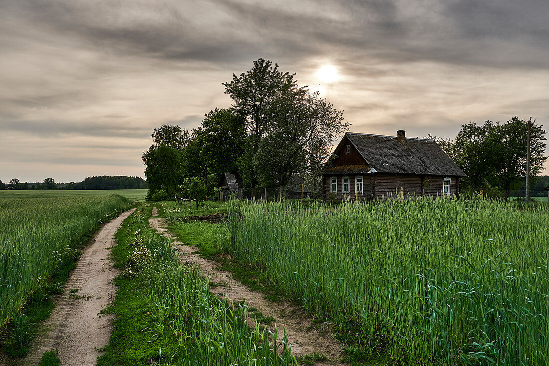 Feldweg führt am späten Nachmittag im Frühjahr zu altem verwitterten traditionellen Holzhaus, Region Grodno, Weißrussland