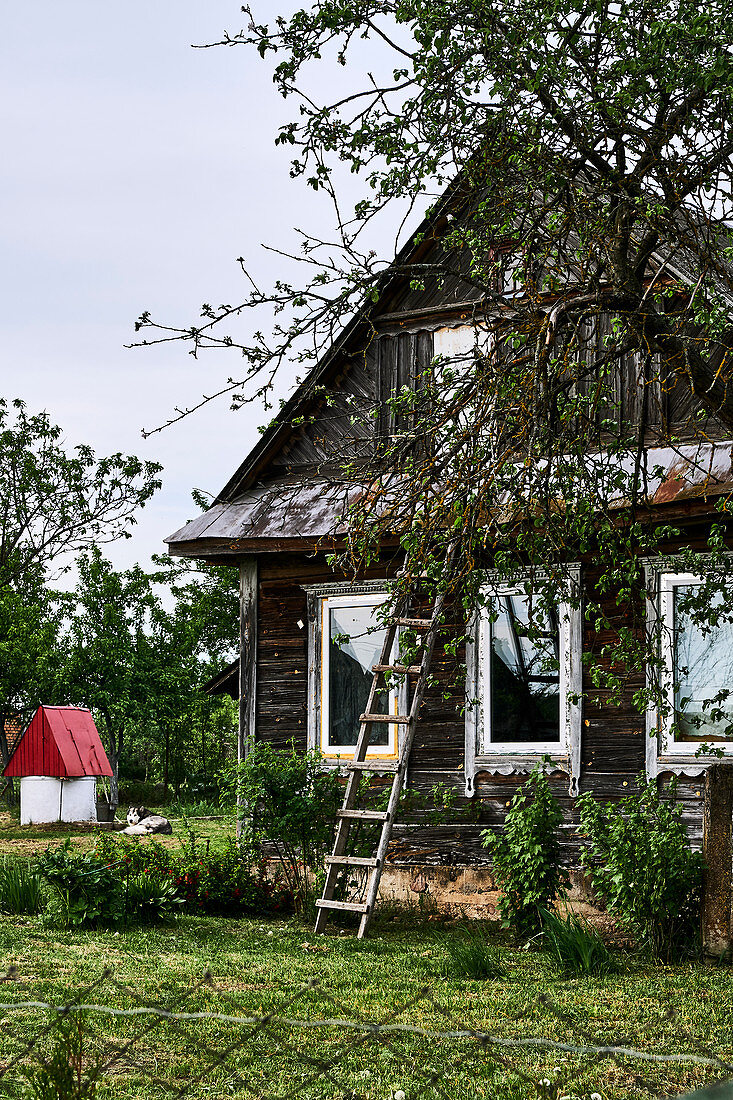 A ladder leans against a traditional wooden home in a small village in the Grodno region in Belarus, a dog and kennel are in the background.