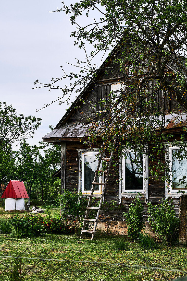 Leiter lehnt an traditionelles Holzhaus in einem kleinen Dorf in der Region Grodno, Weißrussland