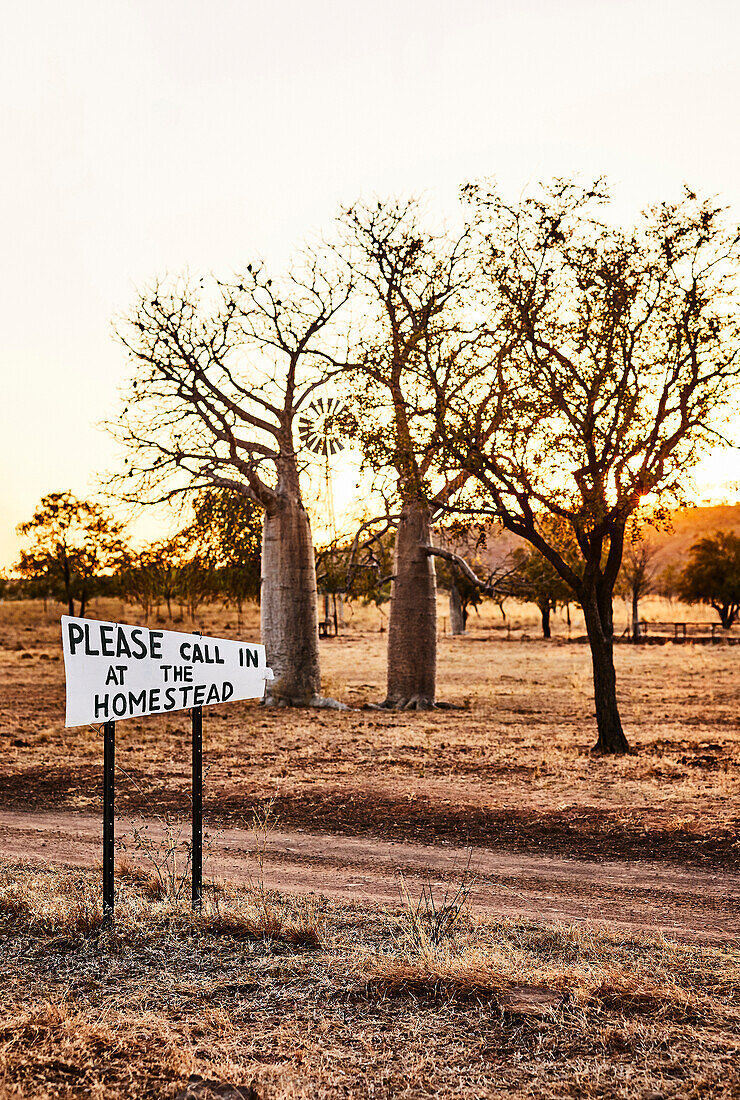 A welcome sign by a dirt track with boab trees in the background at sunrise at Diggers Rest Station, Wyndham, Western Australia, Australia.