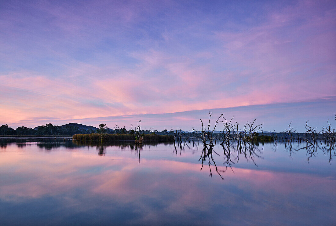 An iridescent pink streak across the sky at sunrise, Lily Creek Lagoon, Kununurra, Western Australia, Australia.