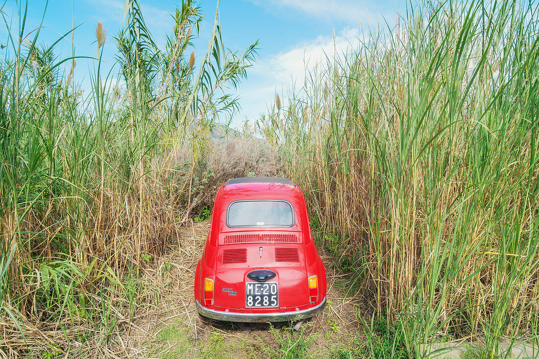 Car parked among long grass, Lipari, Aeolian Islands, Sicily, Italy