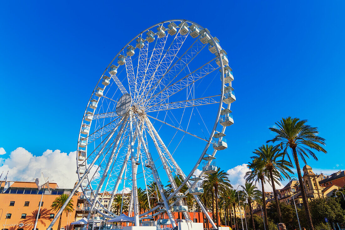 Ferris wheel, Porto Antico (Old Port), Genoa, Liguria, Italy, 