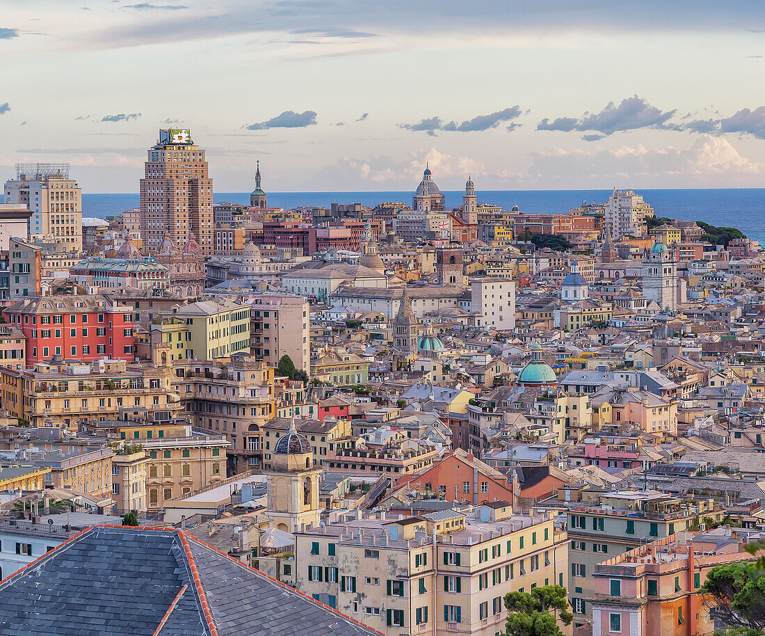 Genoa skyline, top view, Genoa, Liguria, Italy