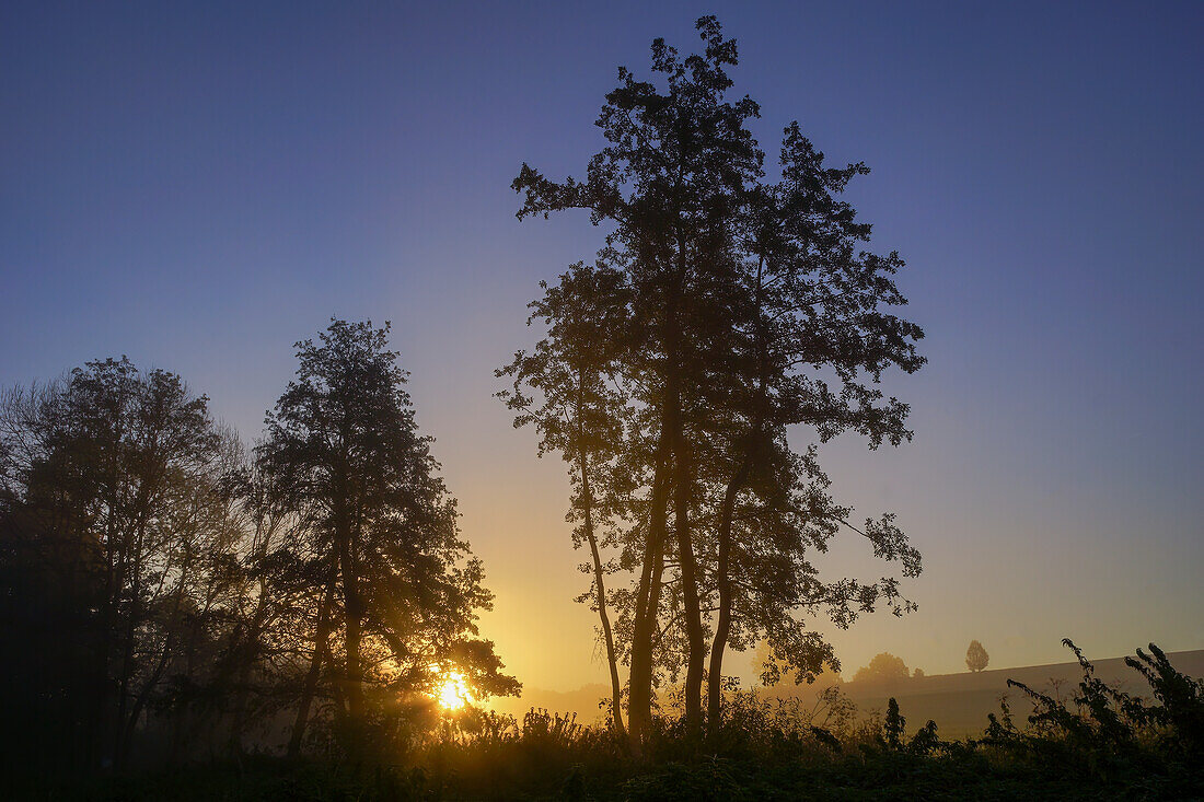 Sunbeams break through the autumn morning mist south of Regensburg, Bavaria, Germany, Europe