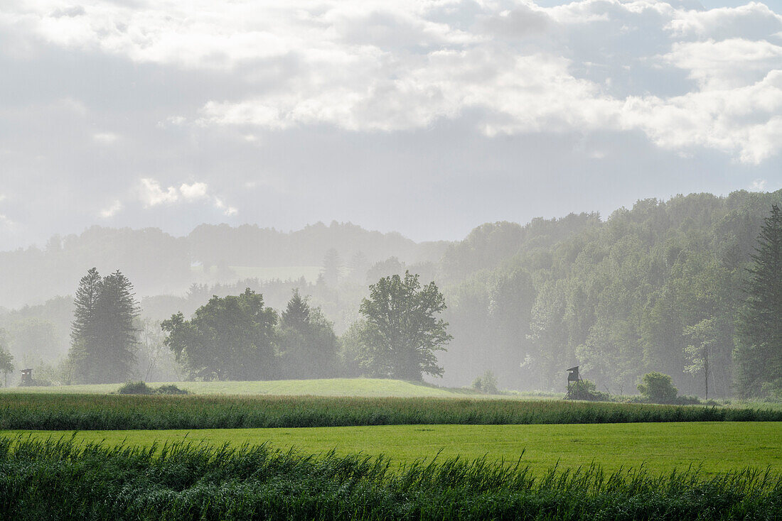 Sommerlicher Regenschauer in der Nähe von Polling, Weilheim, Bayern, Deutschland, Europa